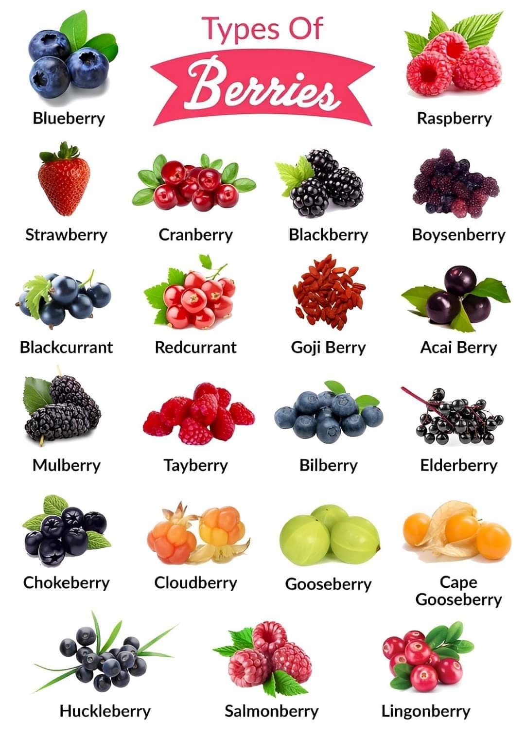 Different Types of Berries Circle C Farm