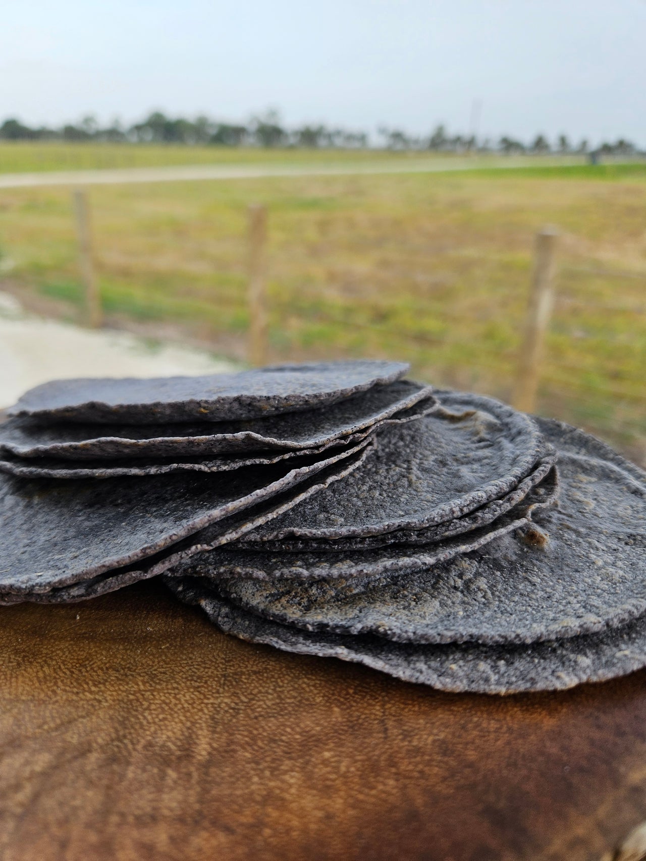 Blue Corn Tortillas 10 Count Ships FROZEN / Ready To Eat