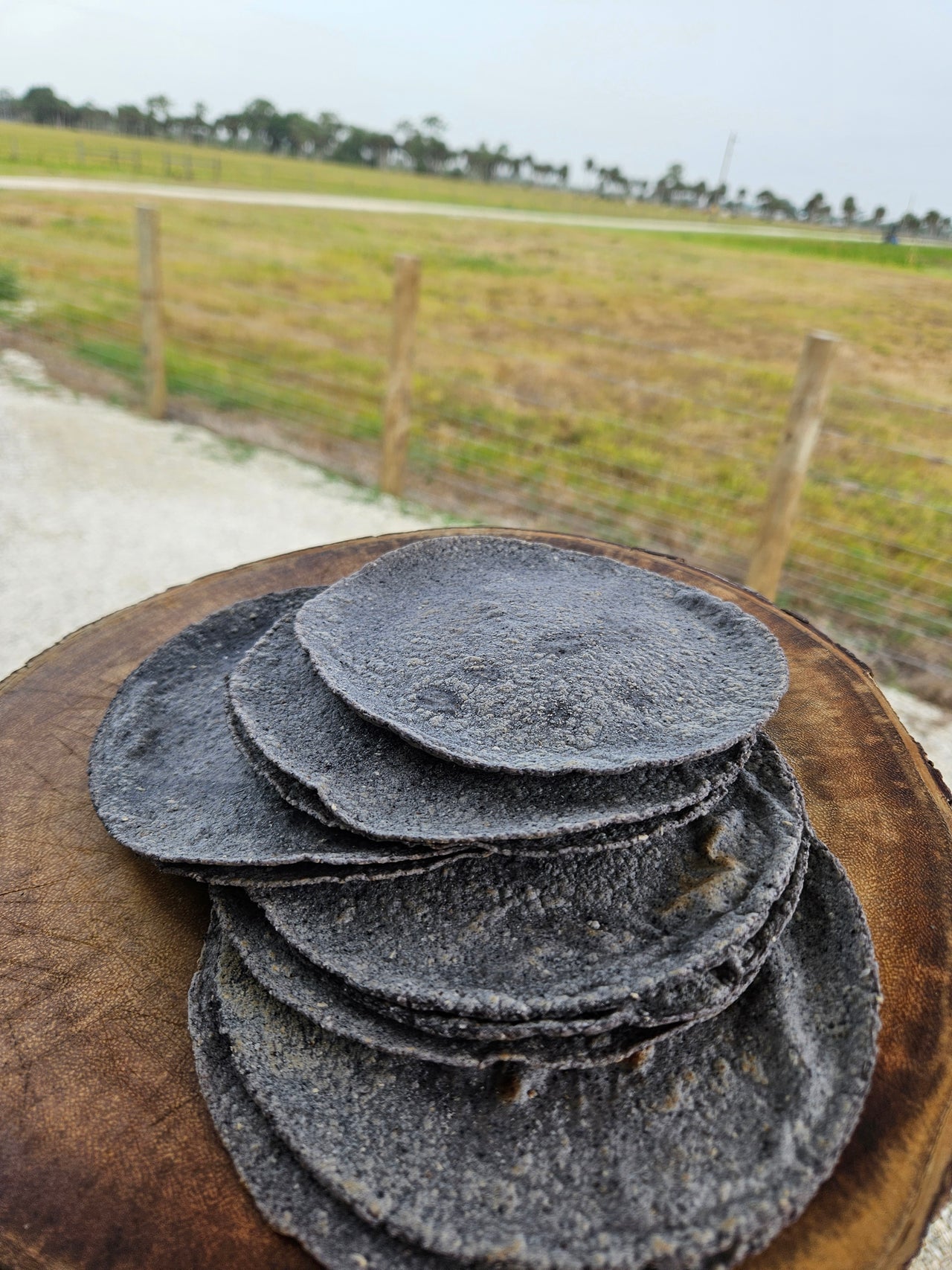 Blue Corn Tortillas 10 Count Ships FROZEN / Ready To Eat